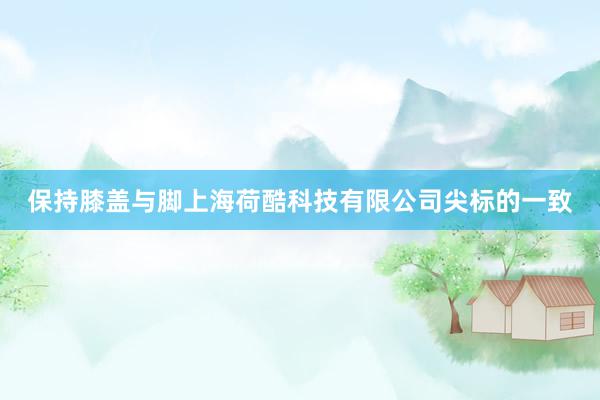保持膝盖与脚上海荷酷科技有限公司尖标的一致